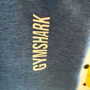 Gymshark Blue Athletic Stretch Pants